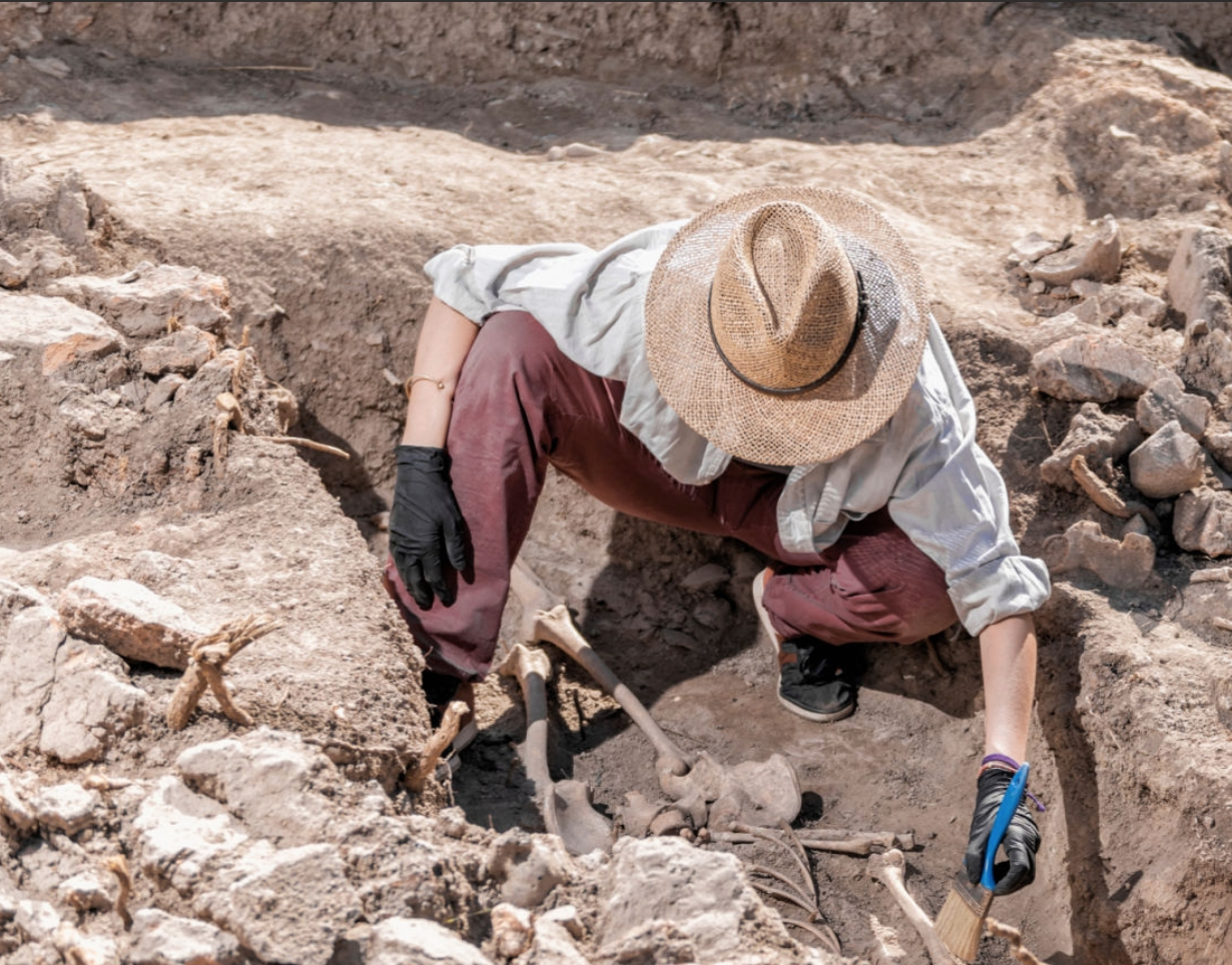 Детальніше про статтю О ценных археологических раскопках и излишнем энтузиазме